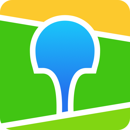 2gis map